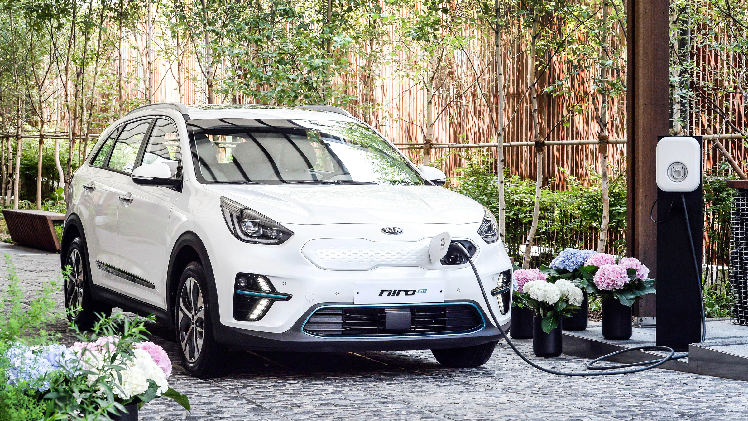KIA Niro EV Electric Car